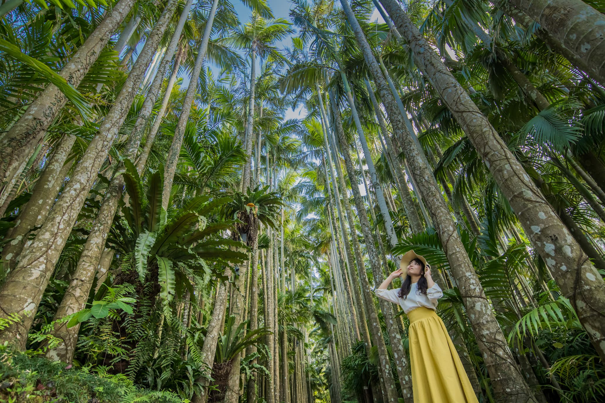 沖繩東南植物樂園